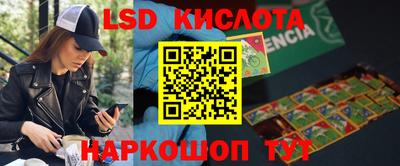 индика Изобильный