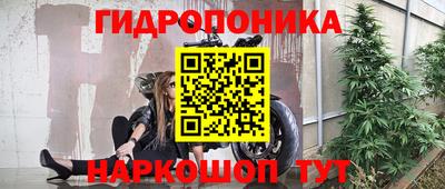 стафф Ирбит