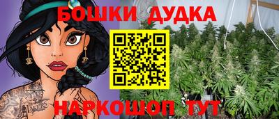 индика Изобильный