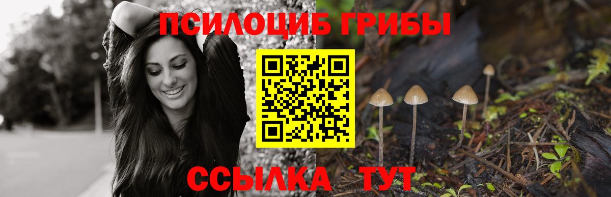 Галлюциногенные грибы мухоморы Магадан